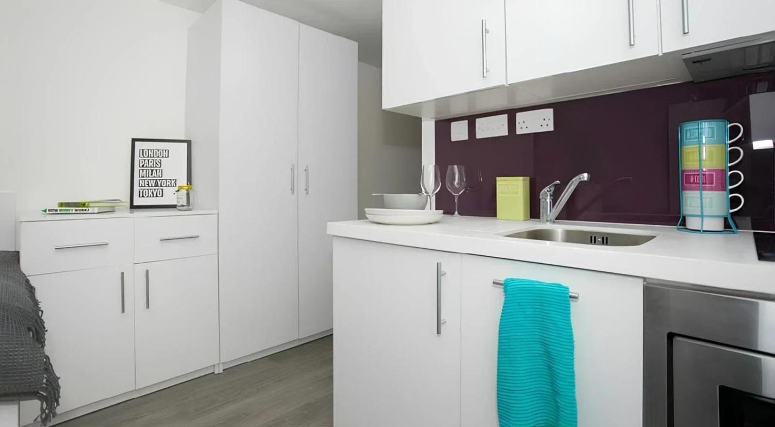 Appartamento Exclusive Student Only Modern In The Heart Of Londons Academic And Cultural Hub Londra